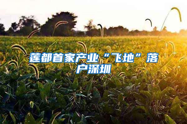 莲都首家产业“飞地”落户深圳