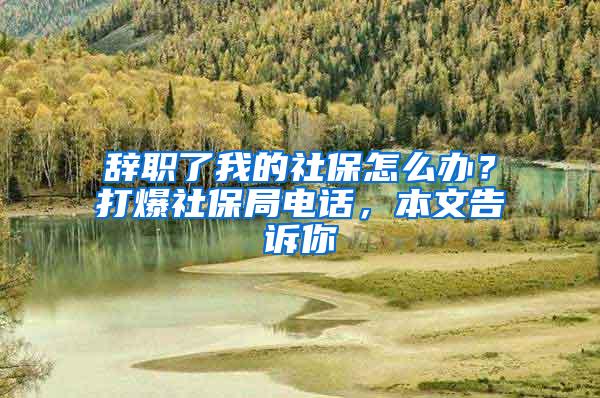 辞职了我的社保怎么办？打爆社保局电话，本文告诉你