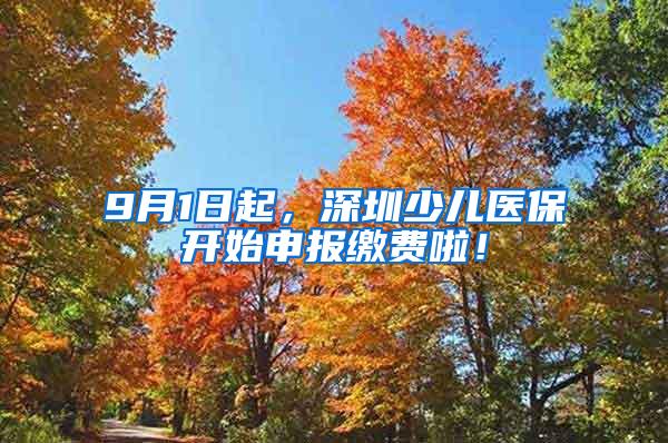 9月1日起，深圳少儿医保开始申报缴费啦！