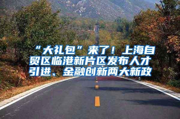 “大礼包”来了！上海自贸区临港新片区发布人才引进、金融创新两大新政