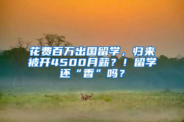 花费百万出国留学，归来被开4500月薪？！留学还“香”吗？