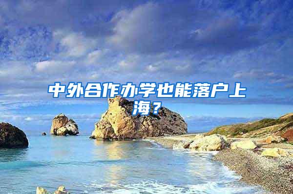 中外合作办学也能落户上海？