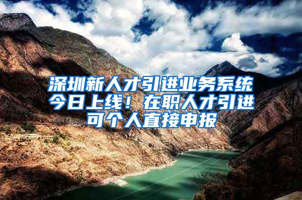 深圳新人才引进业务系统今日上线！在职人才引进可个人直接申报