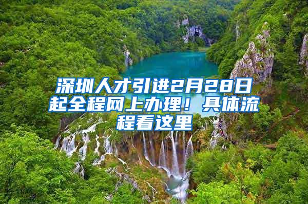 深圳人才引进2月28日起全程网上办理！具体流程看这里