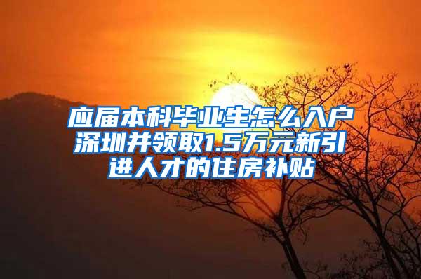 应届本科毕业生怎么入户深圳并领取1.5万元新引进人才的住房补贴