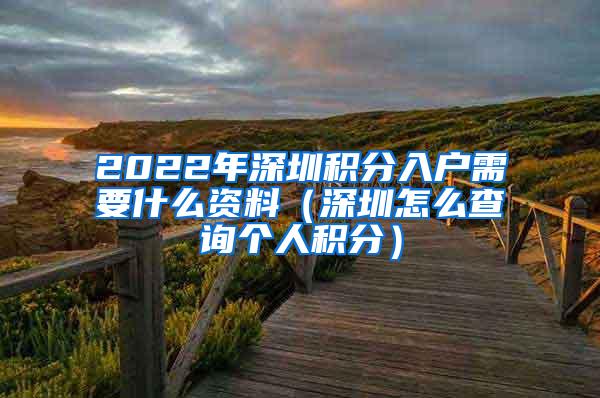 2022年深圳积分入户需要什么资料（深圳怎么查询个人积分）