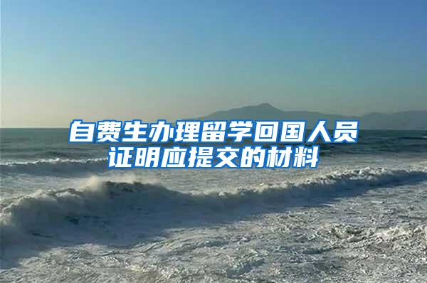 自费生办理留学回国人员证明应提交的材料