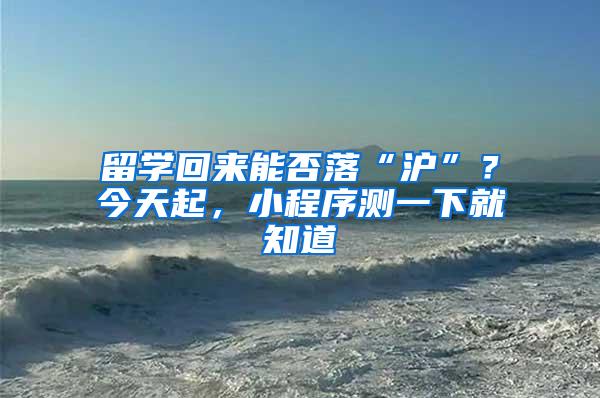 留学回来能否落“沪”？今天起，小程序测一下就知道