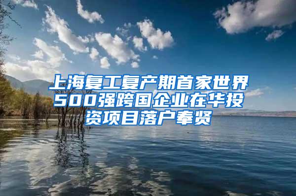 上海复工复产期首家世界500强跨国企业在华投资项目落户奉贤