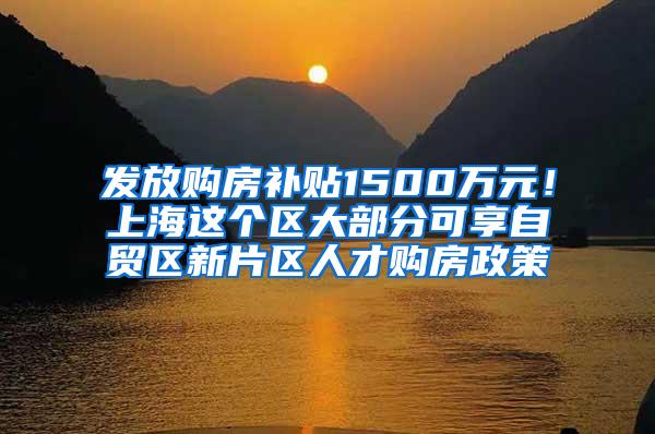 发放购房补贴1500万元！上海这个区大部分可享自贸区新片区人才购房政策