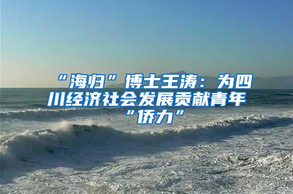 “海归”博士王涛：为四川经济社会发展贡献青年“侨力”