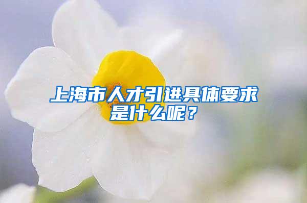 上海市人才引进具体要求是什么呢？