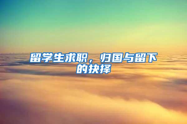 留学生求职，归国与留下的抉择