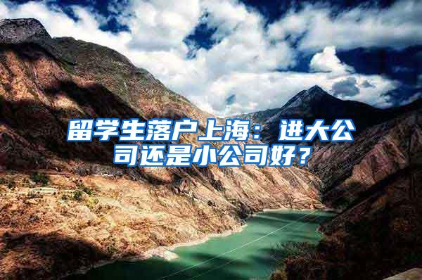 留学生落户上海：进大公司还是小公司好？