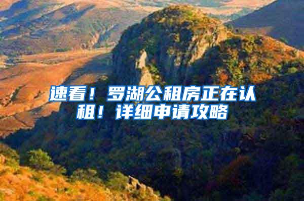 速看！罗湖公租房正在认租！详细申请攻略→