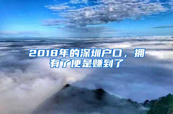 2018年的深圳户口，拥有了便是赚到了