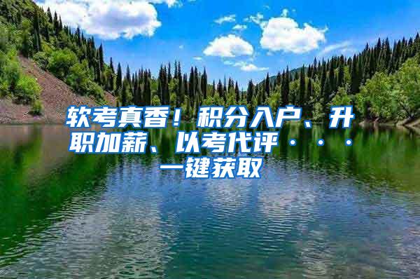 软考真香！积分入户、升职加薪、以考代评···一键获取