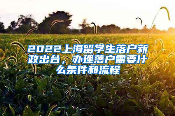 2022上海留学生落户新政出台，办理落户需要什么条件和流程