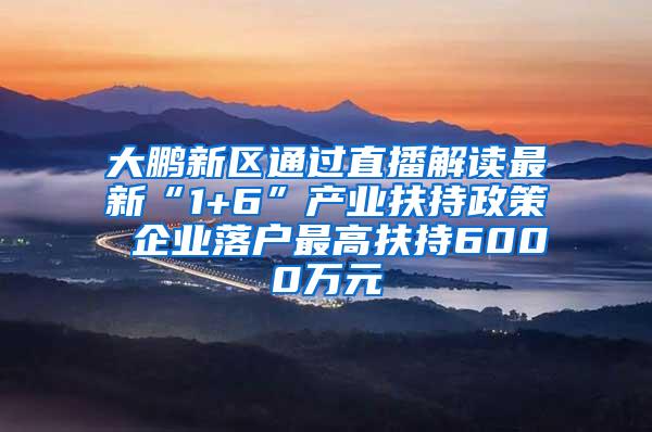 大鹏新区通过直播解读最新“1+6”产业扶持政策 企业落户最高扶持6000万元