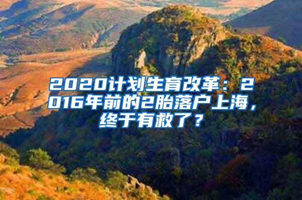 2020计划生育改革：2016年前的2胎落户上海，终于有救了？