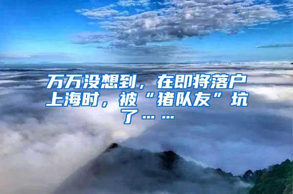 万万没想到，在即将落户上海时，被“猪队友”坑了……