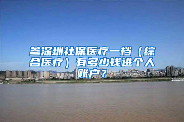 参深圳社保医疗一档（综合医疗）有多少钱进个人账户？