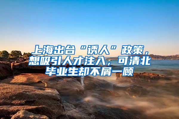上海出台“诱人”政策，想吸引人才注入，可清北毕业生却不屑一顾