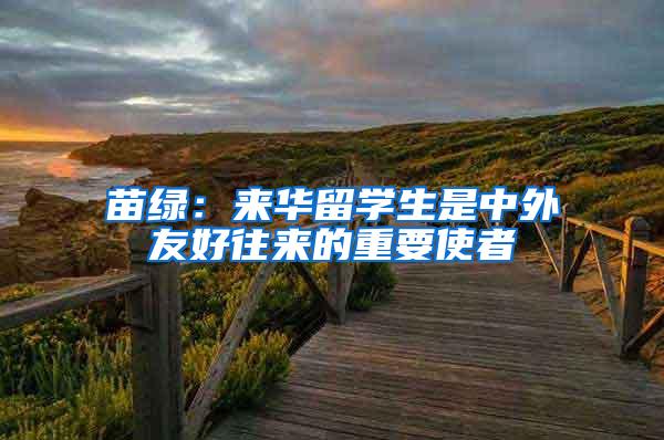苗绿：来华留学生是中外友好往来的重要使者