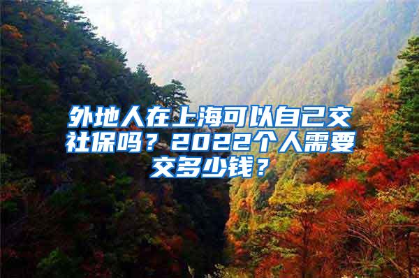 外地人在上海可以自己交社保吗？2022个人需要交多少钱？