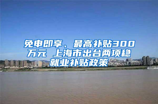 免申即享、最高补贴300万元 上海市出台两项稳就业补贴政策