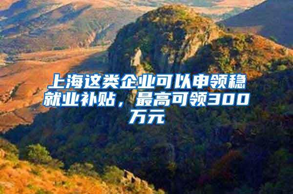 上海这类企业可以申领稳就业补贴，最高可领300万元