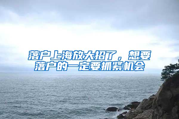 落户上海放大招了，想要落户的一定要抓紧机会