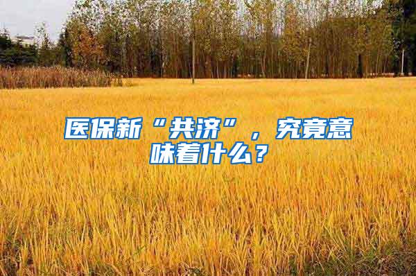 医保新“共济”，究竟意味着什么？