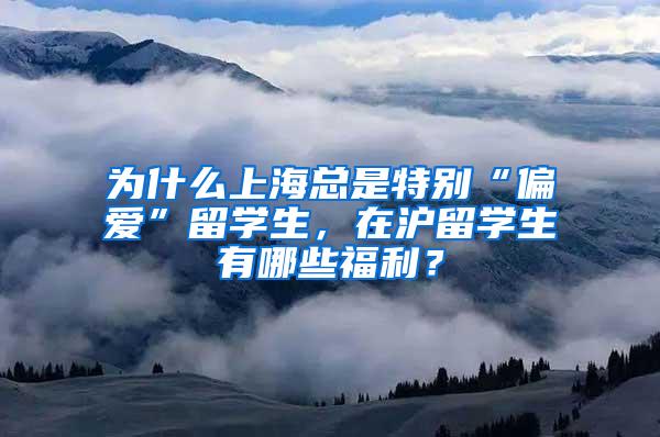 为什么上海总是特别“偏爱”留学生，在沪留学生有哪些福利？