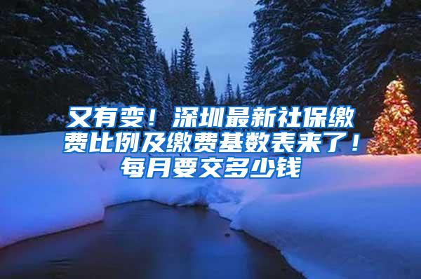 又有变！深圳最新社保缴费比例及缴费基数表来了！每月要交多少钱