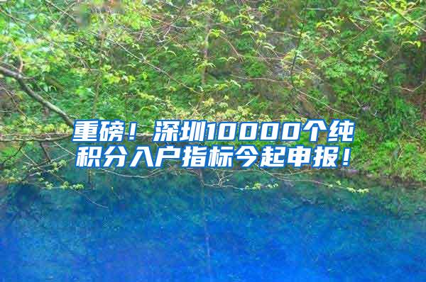 重磅！深圳10000个纯积分入户指标今起申报！