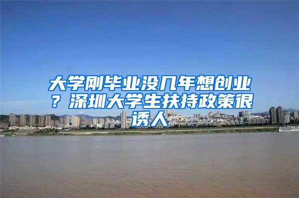 大学刚毕业没几年想创业？深圳大学生扶持政策很诱人