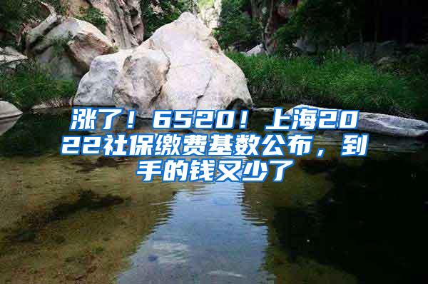 涨了！6520！上海2022社保缴费基数公布，到手的钱又少了