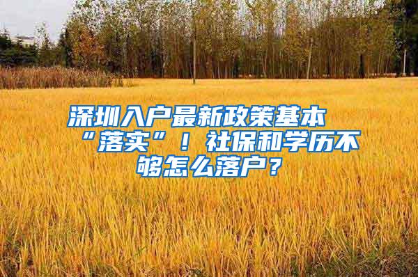 深圳入户最新政策基本“落实”！社保和学历不够怎么落户？