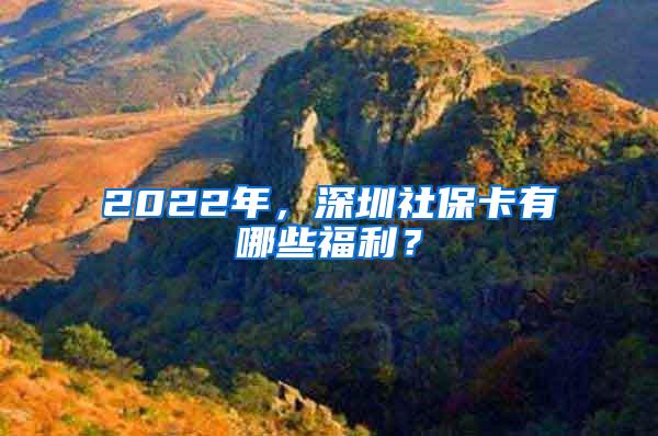 2022年，深圳社保卡有哪些福利？