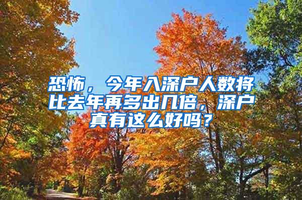 恐怖，今年入深户人数将比去年再多出几倍，深户真有这么好吗？