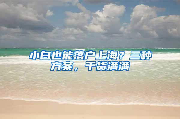 小白也能落户上海？三种方案，干货满满