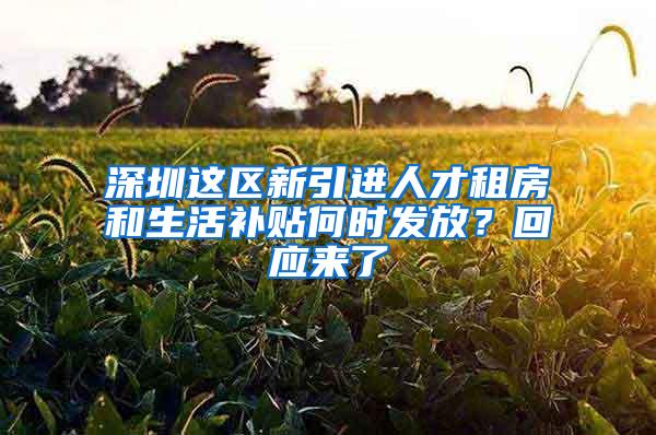 深圳这区新引进人才租房和生活补贴何时发放？回应来了