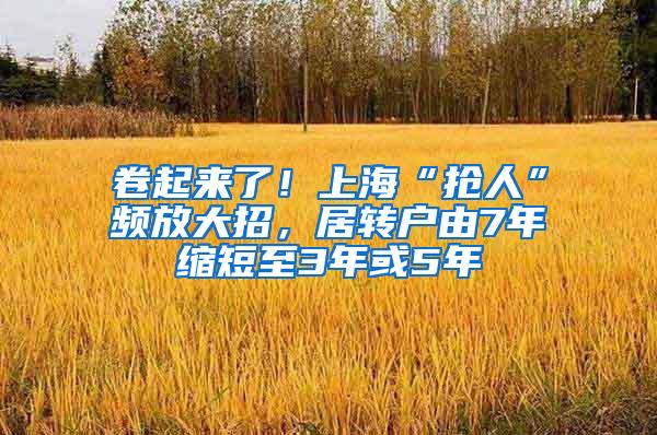 卷起来了！上海“抢人”频放大招，居转户由7年缩短至3年或5年