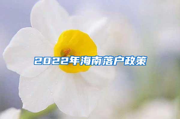 2022年海南落户政策