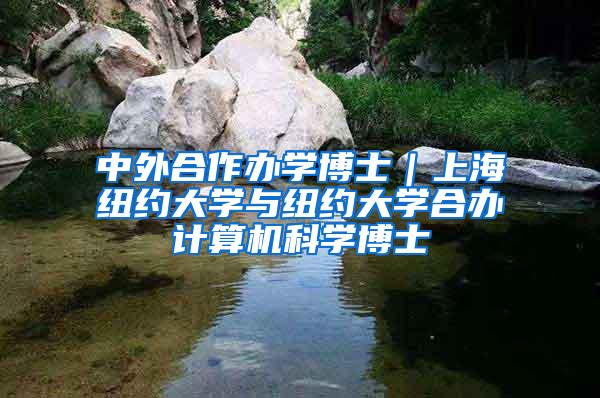中外合作办学博士｜上海纽约大学与纽约大学合办计算机科学博士