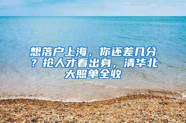 想落户上海，你还差几分？抢人才看出身，清华北大照单全收