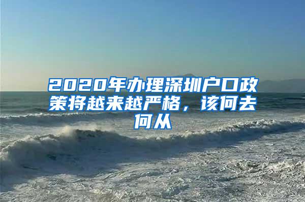 2020年办理深圳户口政策将越来越严格，该何去何从