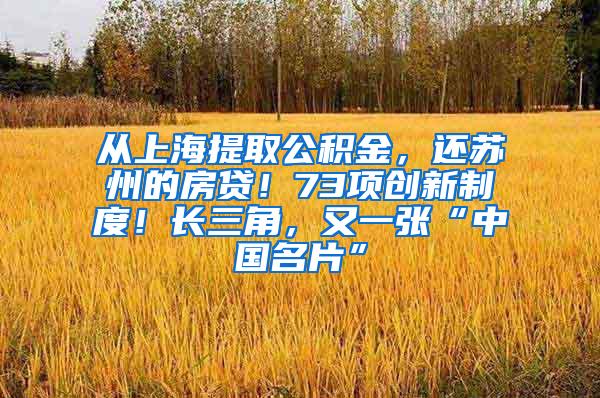 从上海提取公积金，还苏州的房贷！73项创新制度！长三角，又一张“中国名片”