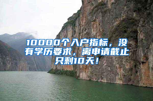 10000个入户指标，没有学历要求，离申请截止只剩10天！